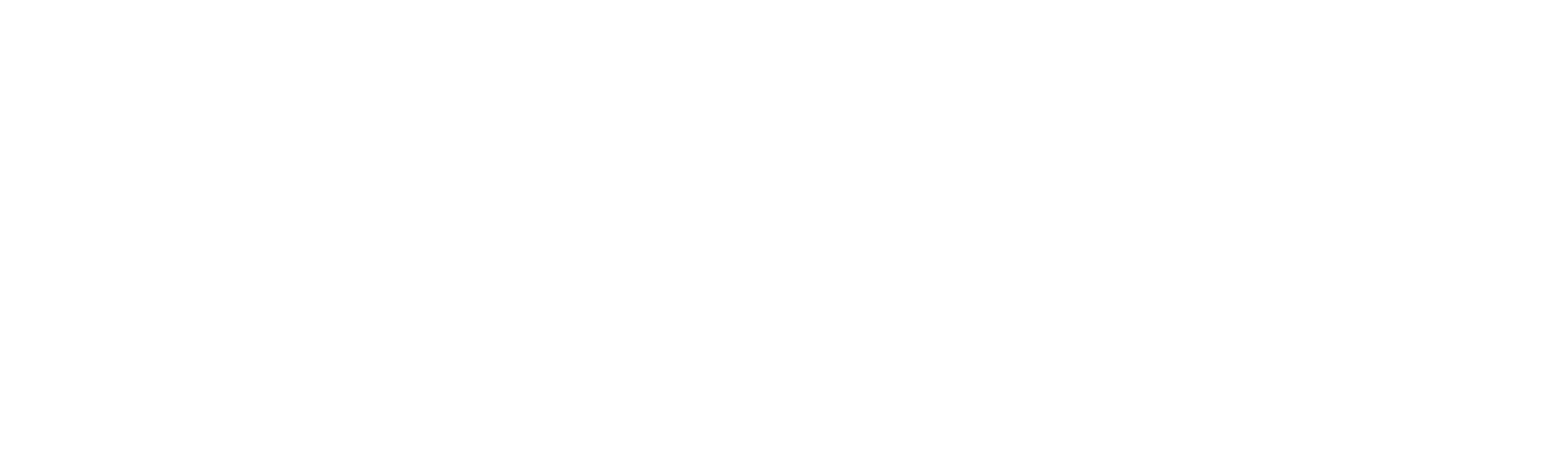 Logo PRO DISPLAY